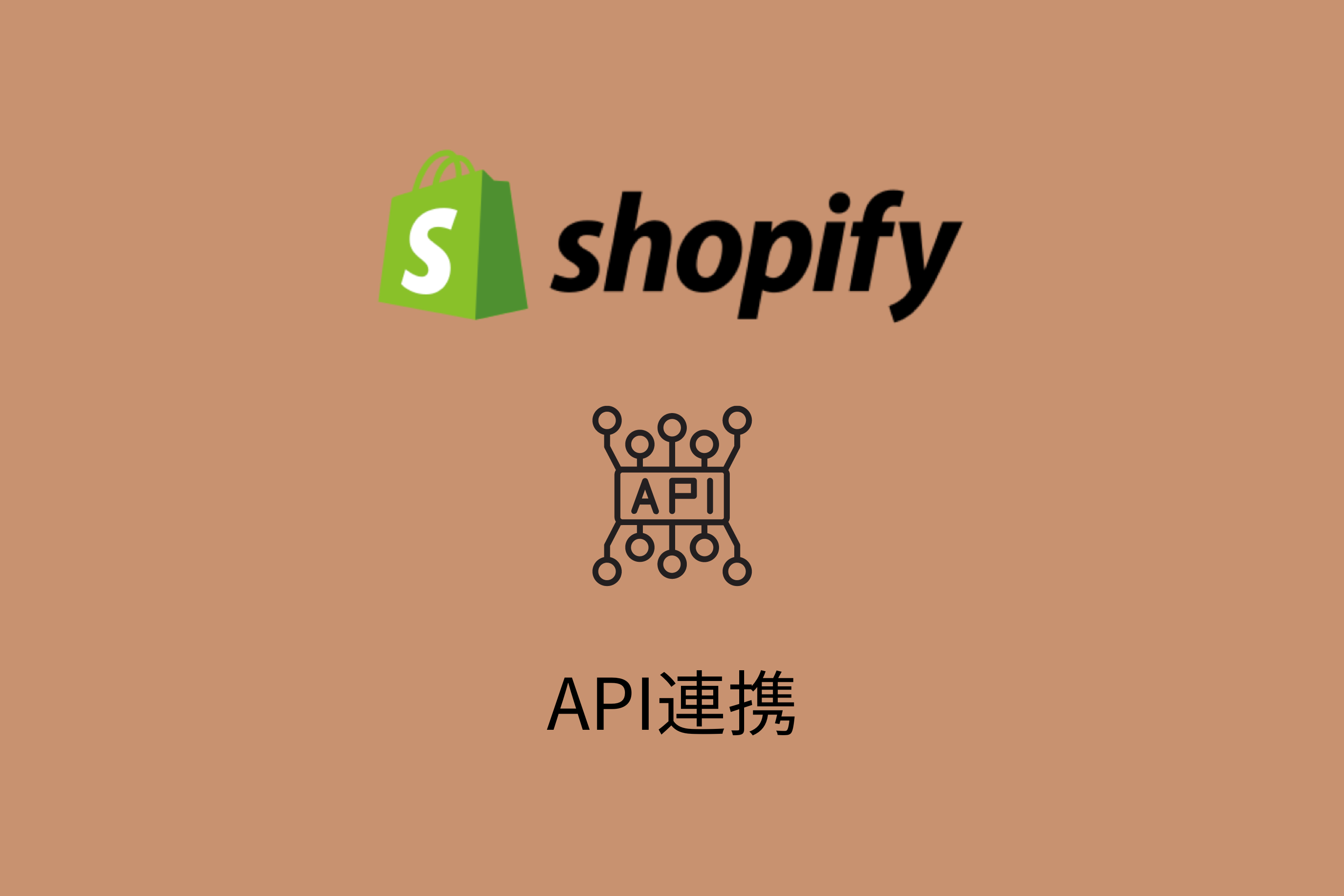 【Shopify】API連携を行うための設定手順